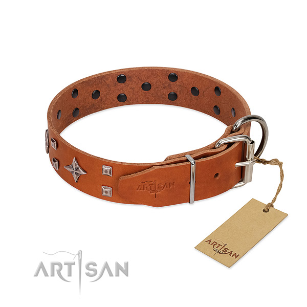 Gentle leather dog collar for daily wear