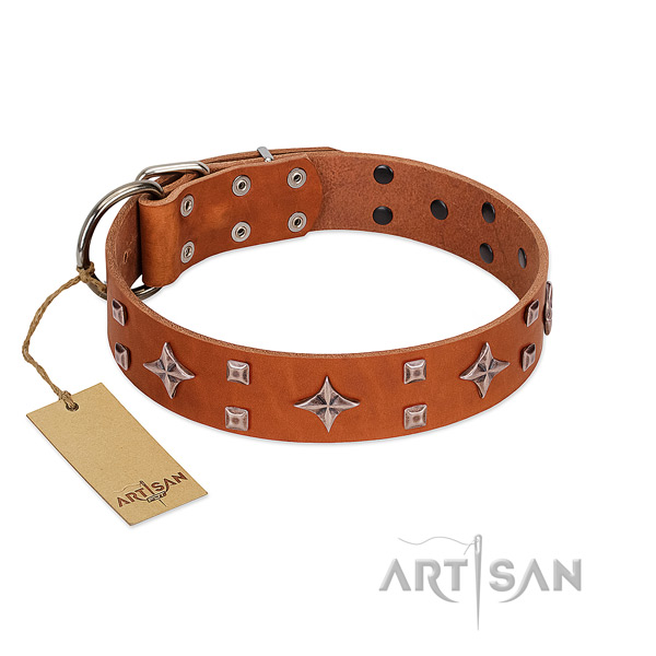 FDT Artisan tan leather dog collar to please refined taste