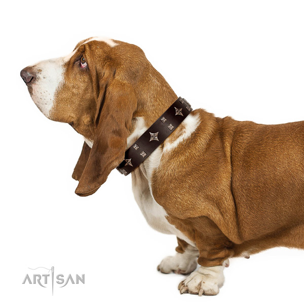 Dashing leather Basset Hound collar for irresistible look