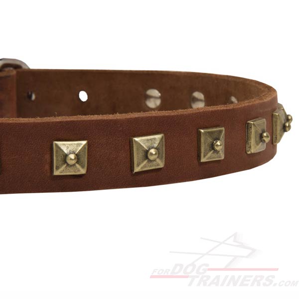 Daily Leather Dog Collar  with Hand Set Studs
