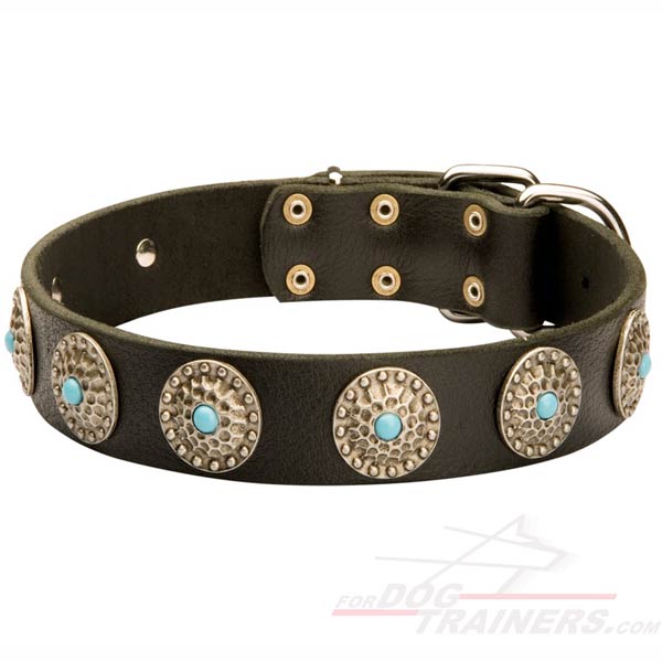 Designer Leather Dog Collar