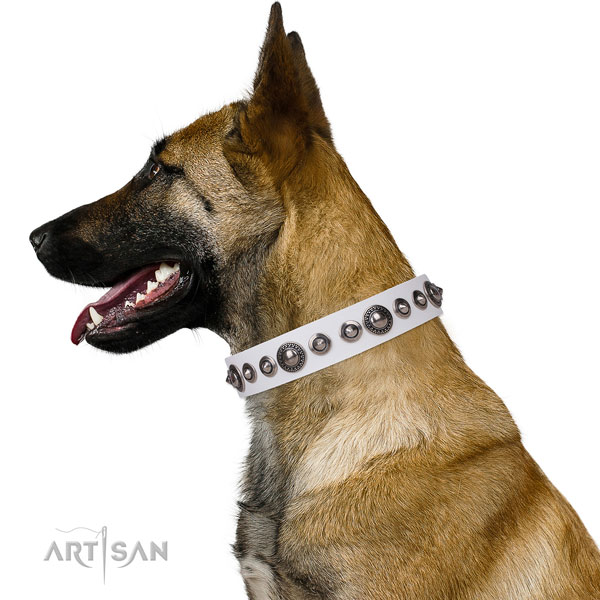 Belgian Malinois amazing full grain natural leather dog collar with decorations