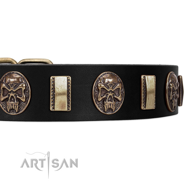 Fancy Walking Leather Dog Collar with Plates and Medallions