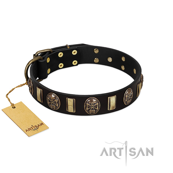 Top Notch Leather Dog Collar with Plates and Skulls