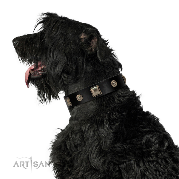 FDT Artisan leather dog collar for your walks