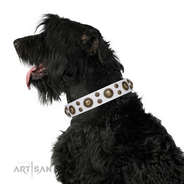 Black Russian Terrier unique genuine leather dog collar with studs