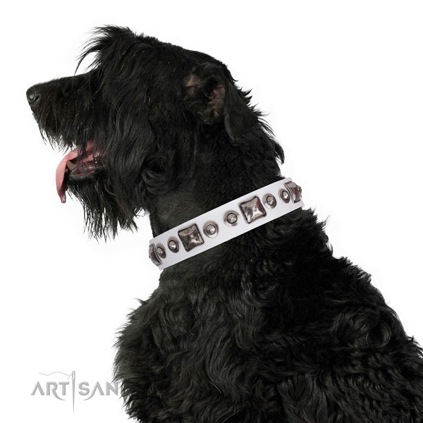 Black Russian Terrier stunning genuine leather dog collar with adornments