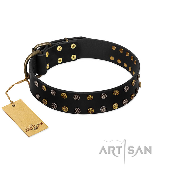 Black Leather Dog Collar Adorned with Engraved Star Studs 
