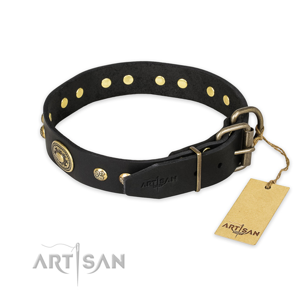 Black leather dog collar with sturdy hardware