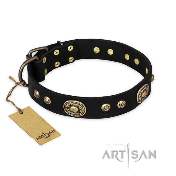 Black leather dog collar with riveted studs