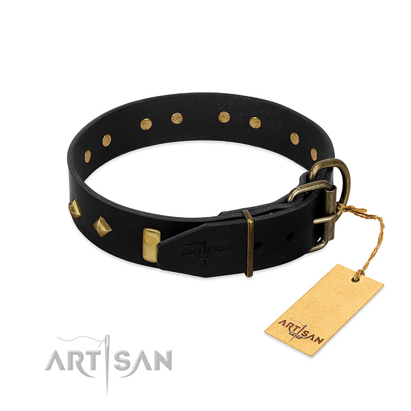 FDT Artisan Daily walking leather dog collar with soft polished edges
