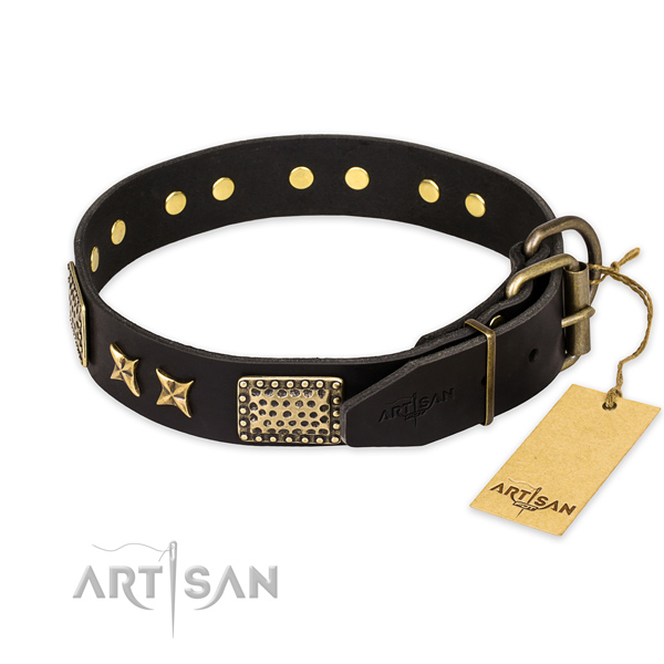 Adorned black leather dog collar with stars and plates
