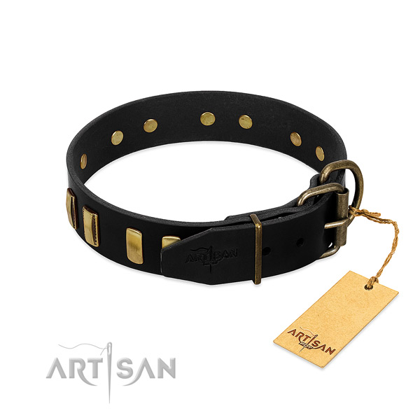 Adorned black leather dog collar with firmly attached fittings
