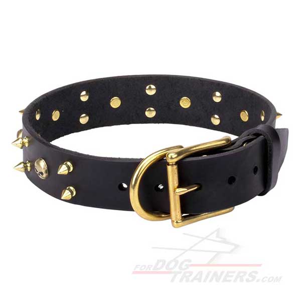 Black leather dog collar with reliable brass hardware