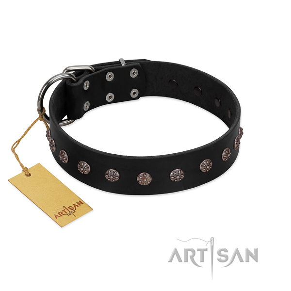 Long-servicing leather dog collar with inimitable adornments