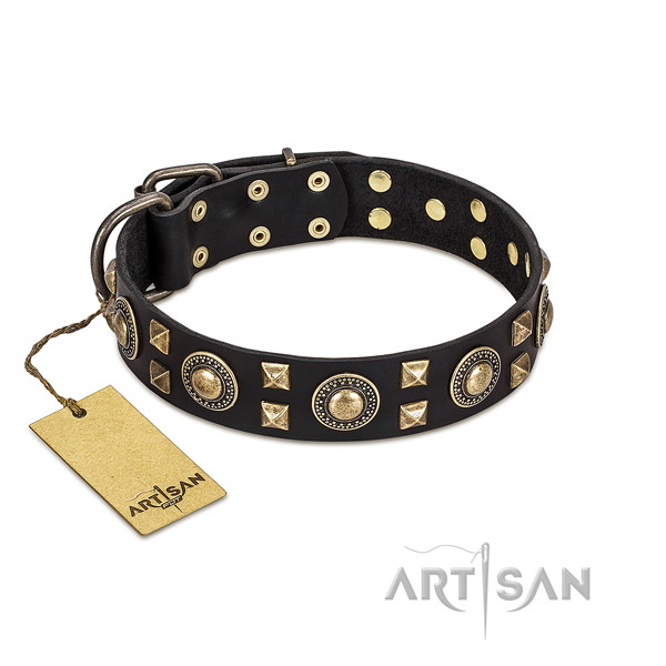 Reliable FDT Artisan leather dog collar