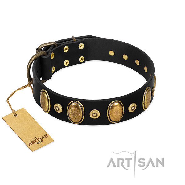 Premium Quality Black Leather Collar with Royal Decorations