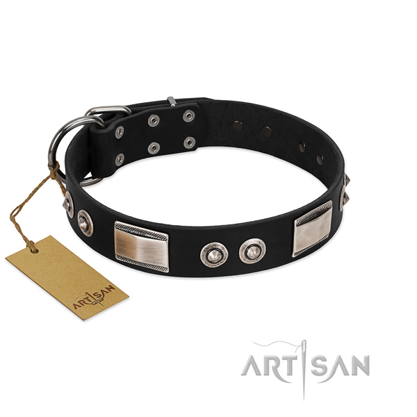 Black dog collar with elegant embellishments