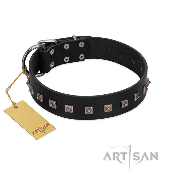 Fabulous FDT Artisan leather dog collar