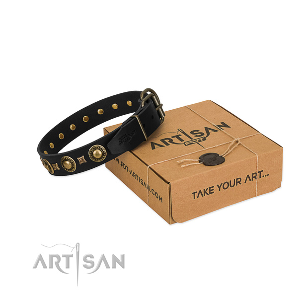 FDT Artisan leather dog collar for your best dog