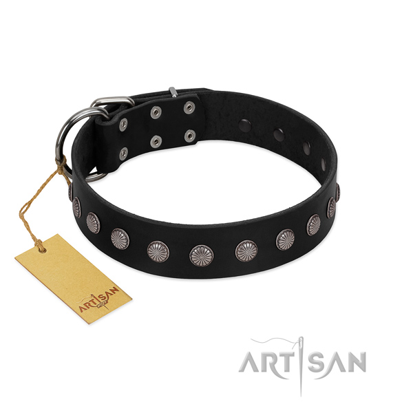 Fabulous FDT Artisan leather dog collar