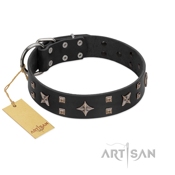 Modern FDT Artisan leather dog collar