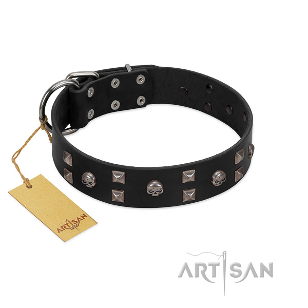 Amazing FDT Artisan leather dog collar