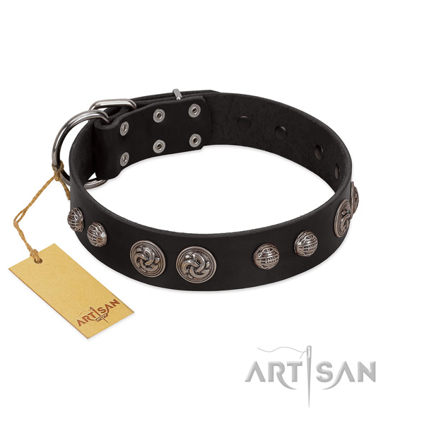 Decorated black leather dog collar for everyday activities