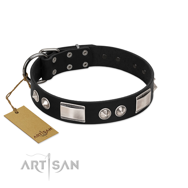 Reliable FDT Artisan leather dog collar