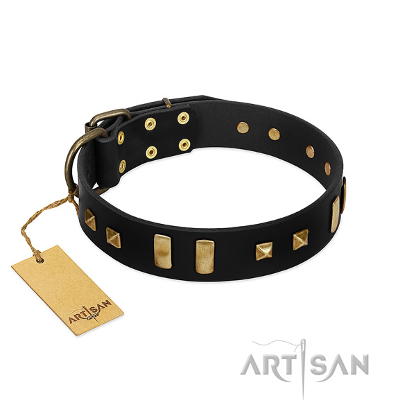 Trendy Dog Collar Adorned with Plates and Square Studs