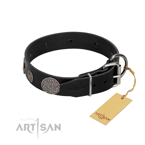 Fancy leather dog collar with sturdy fittings
