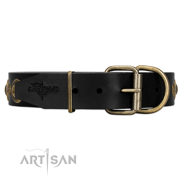 Leather dog collar with brass-plated hardware