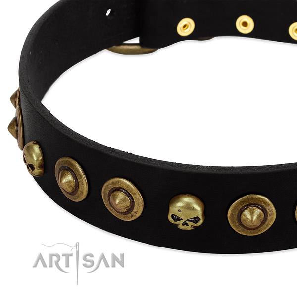 FDT Artisan black leather dog collar with decorative brooches and skulls