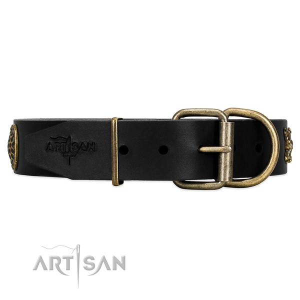 Leather dog collar with brass hardware