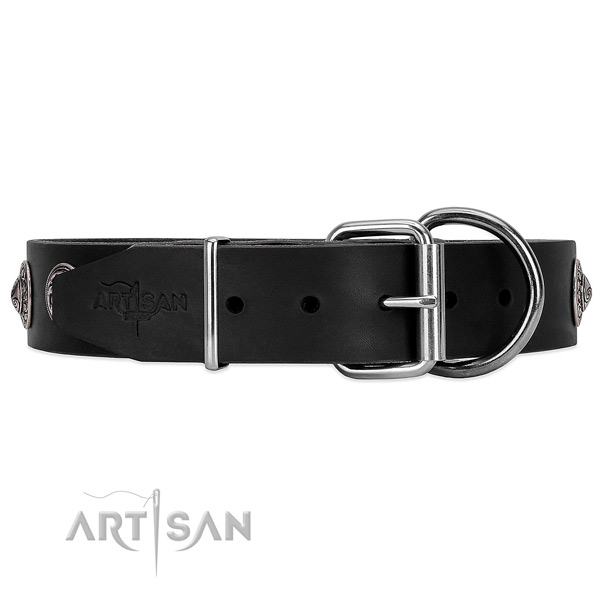 Black leather dog collar with silver-like hardware