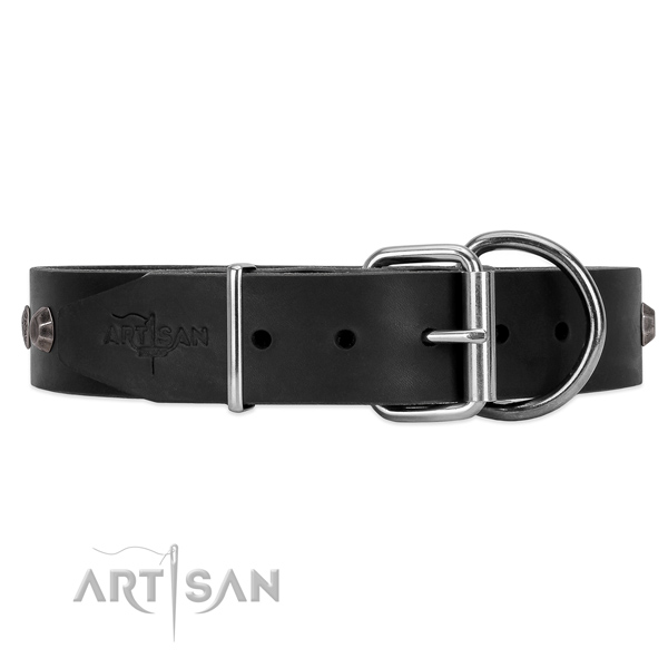 Leather dog collar with old bronze-like hardware
