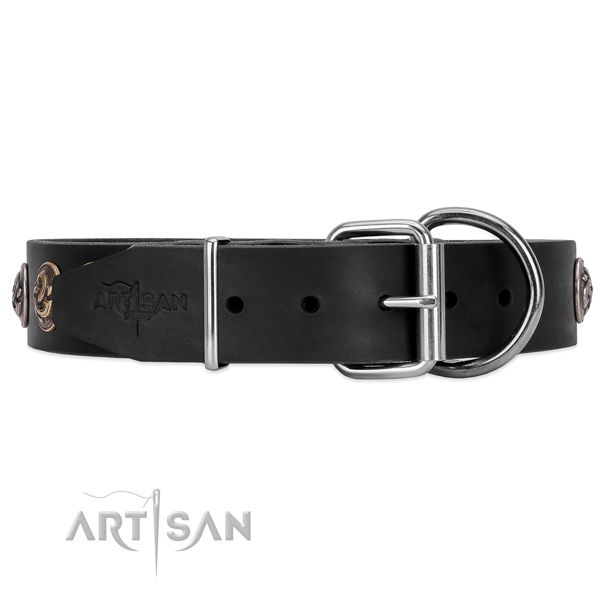 Leather dog collar with chrome plated hardware