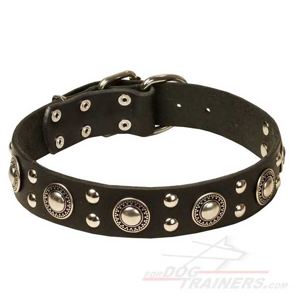 Studded Black Leather Dog Collar