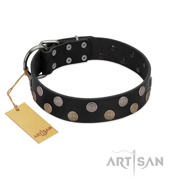 Fabulous FDT Artisan leather dog collar