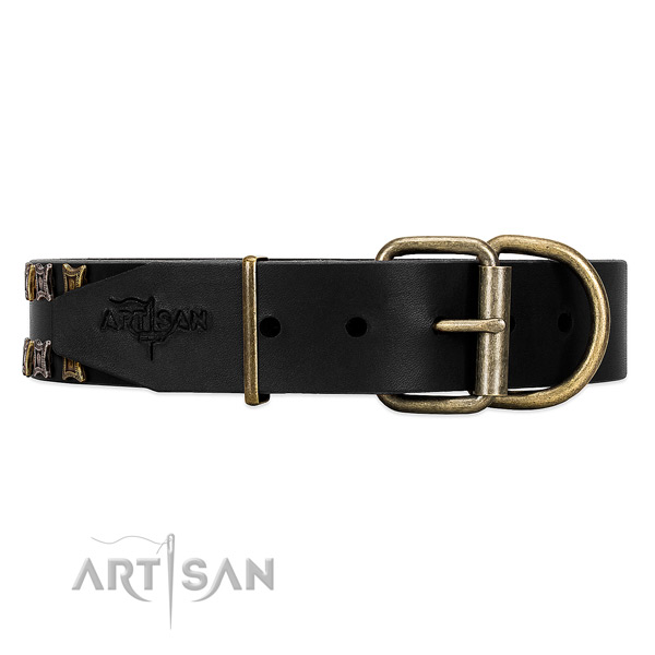 Black dog collar with old bronze-like hardware