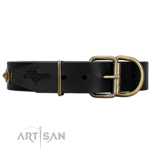 Black dog collar with old bronze-like hardware