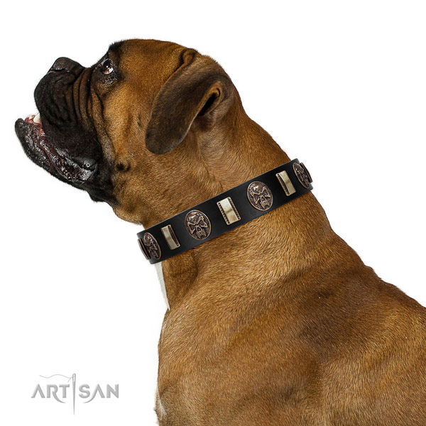 Top Quality Leather Boxer Collar with Skulls and Plates