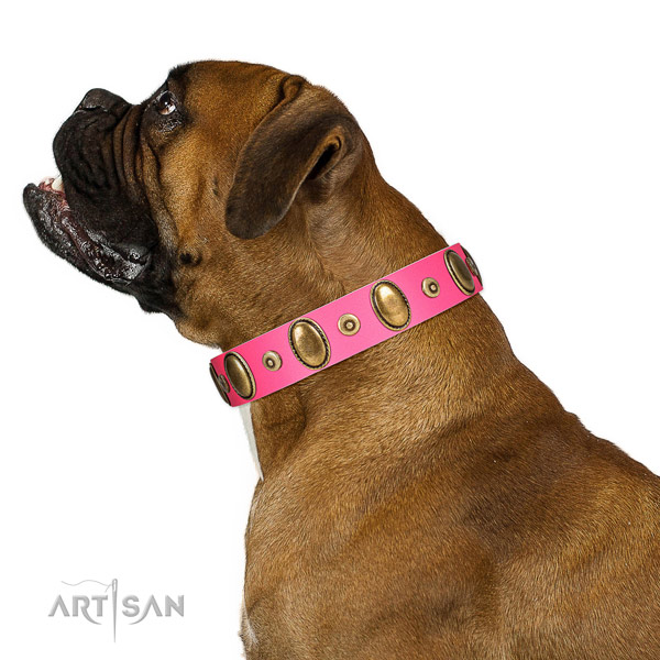  Dependable Boxer Collar for Daily Activities