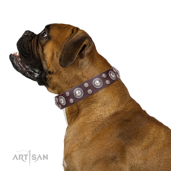 Boxer convenient natural genuine leather dog collar with embellishments