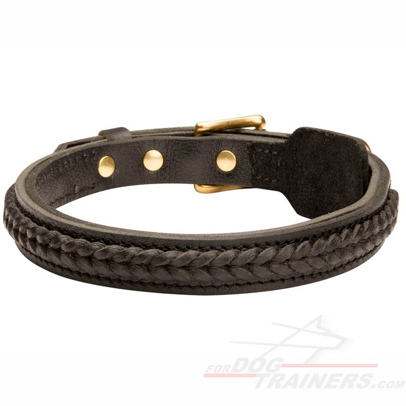 Get Braided Leather Dog Collar|Adjustable Dog Collar for ...