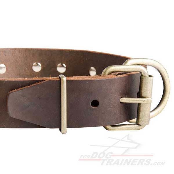 Durable Brass Buckle on Designer Leather Cane Corso Collar