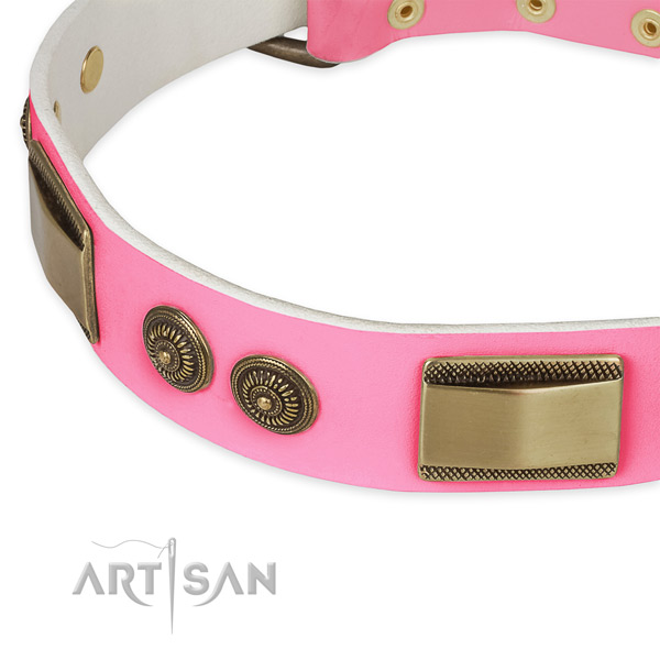 Brass Decorative Parts on Pink Dog Collar