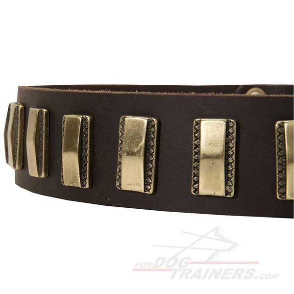 Brass Plates on Dog Collar Leather Brass Plates Decor