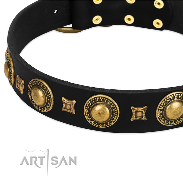 Modern black leather dog collar with cool decorations