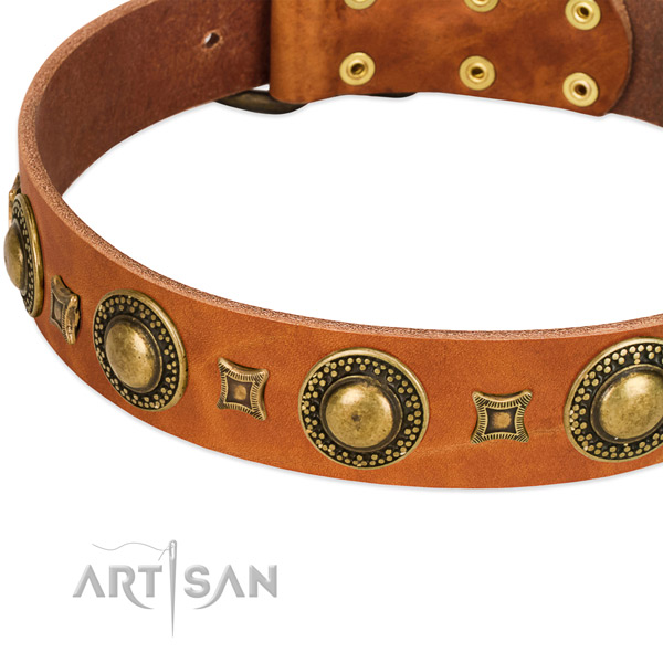 Natural leather dog collar with vintage decorations